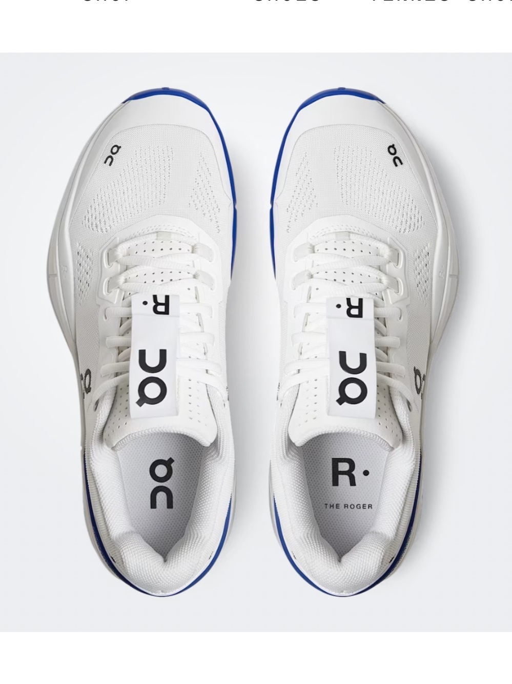 On cloud Roger Pro